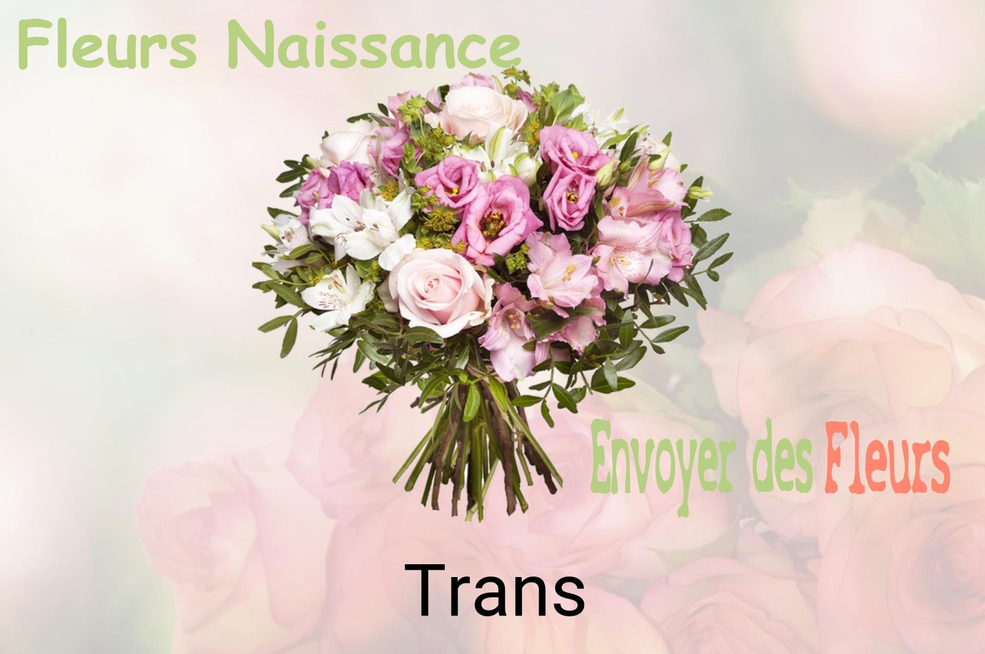 Bouquet de fleurs de naissance livré à Trans